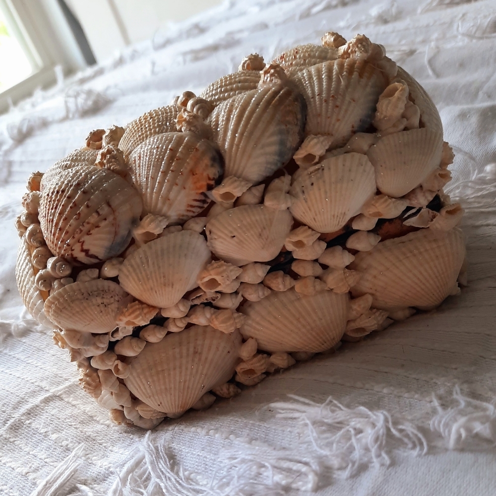 🐚SEA SHELL JEWELRY BOX!🐚